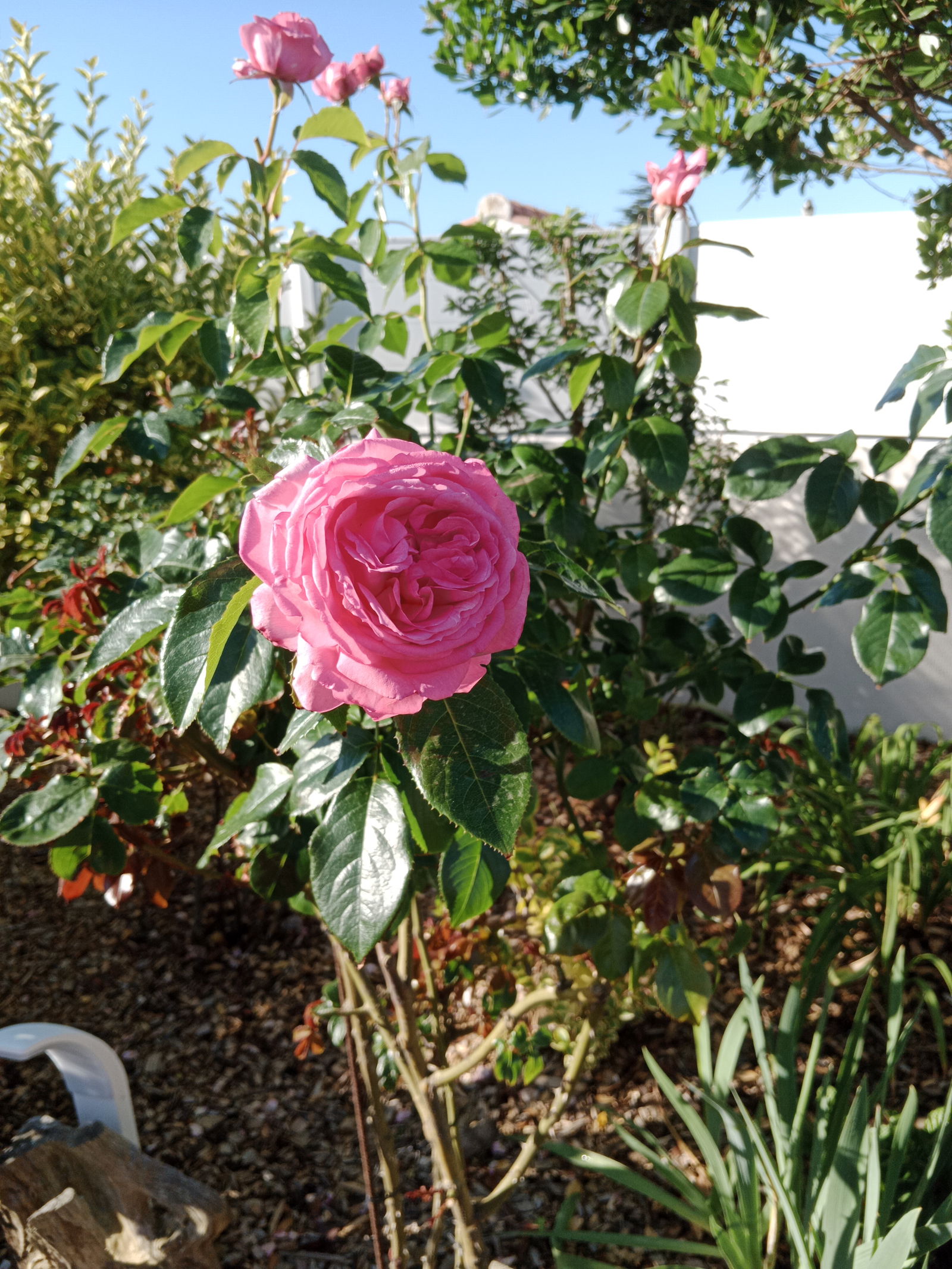 Gastfamilie Bretignolles-sur-Mer 405568