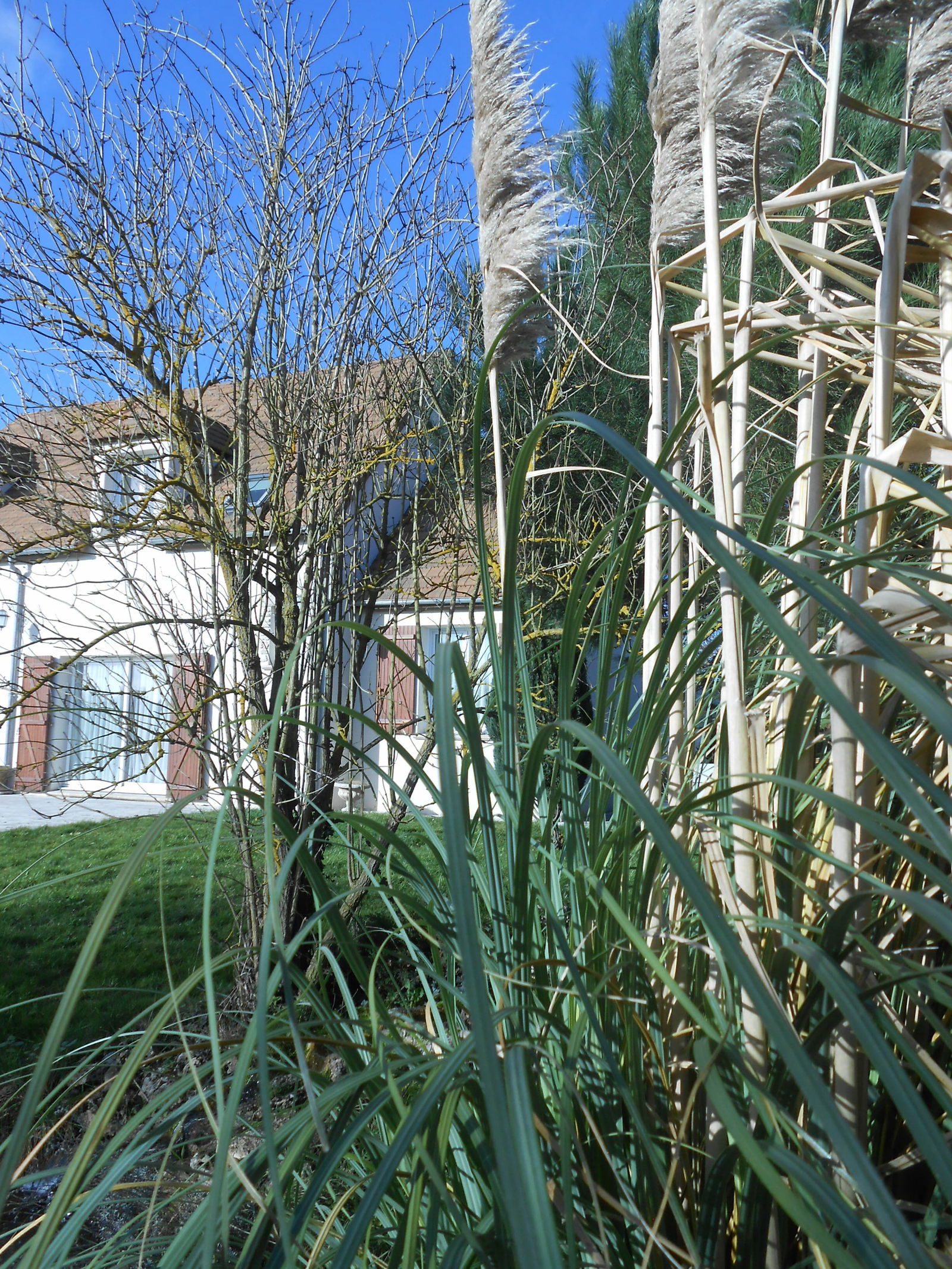 Homestay Gressey 192725