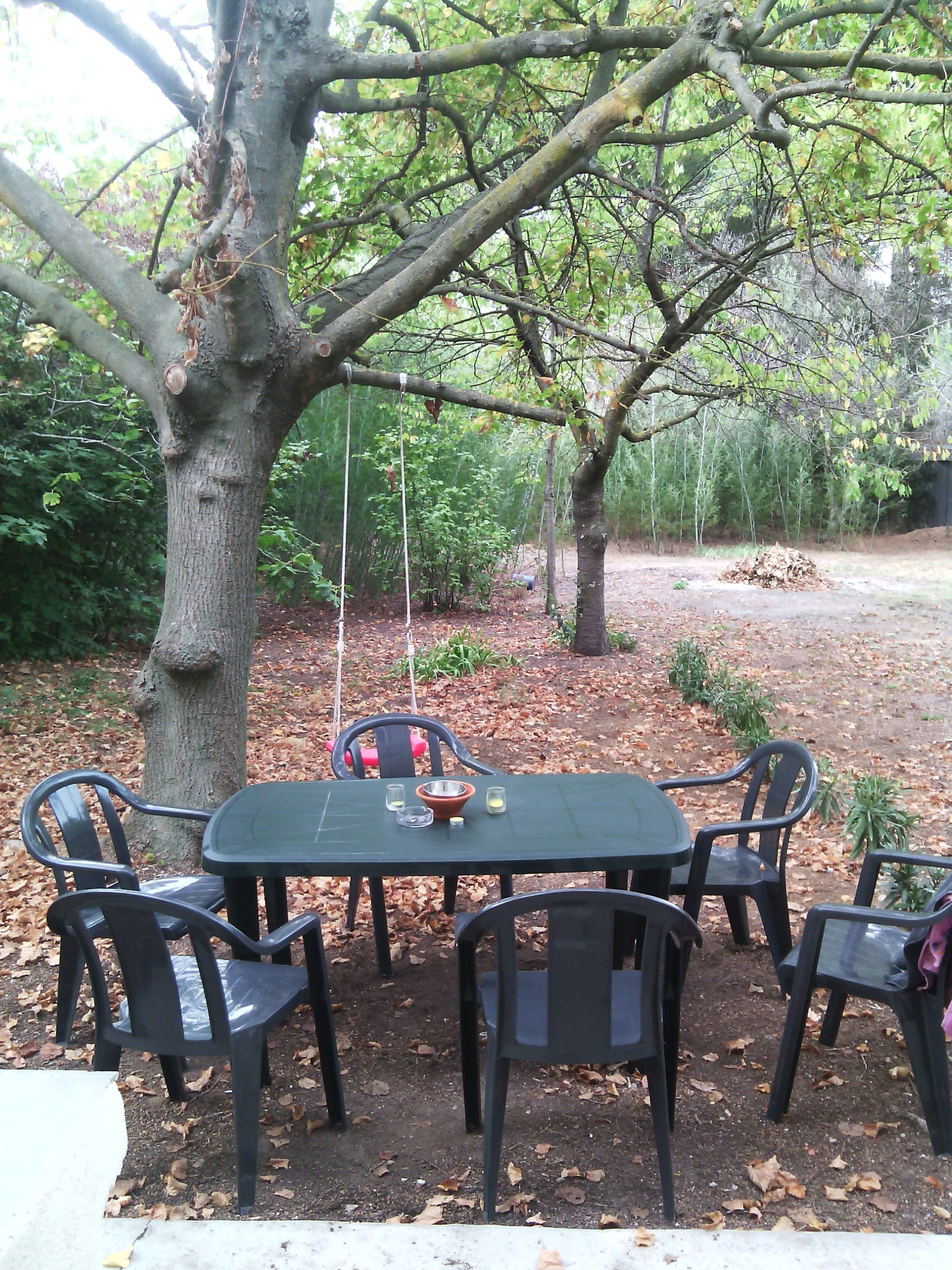 Colocatie Lattes 91026