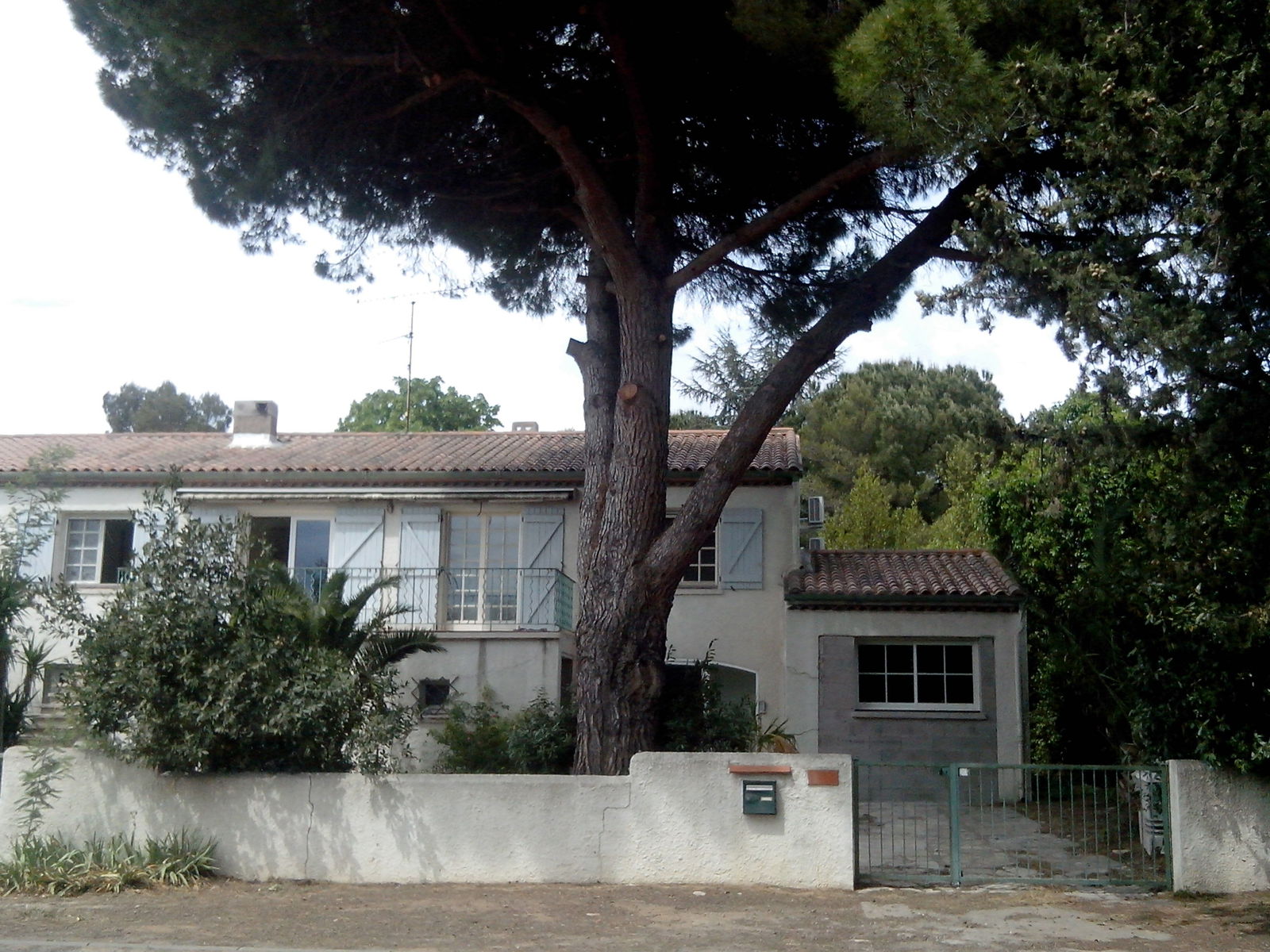 Kolokacja Lattes 91026