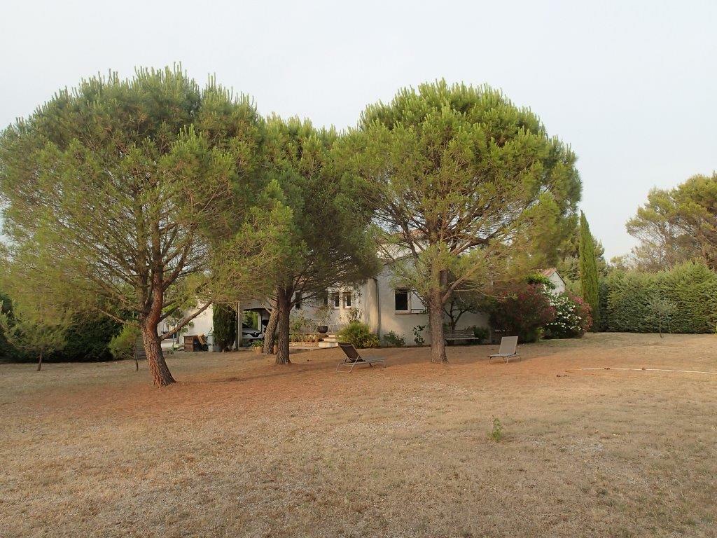 Famiglia Mazan 228303