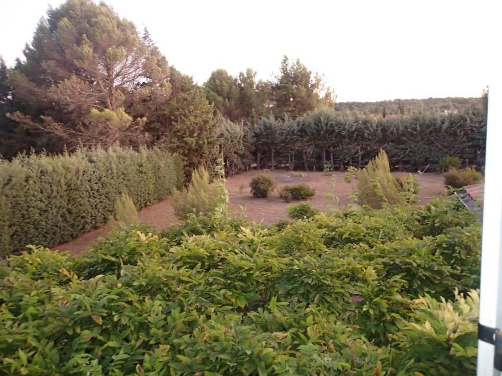 Homestay Mazan 228303