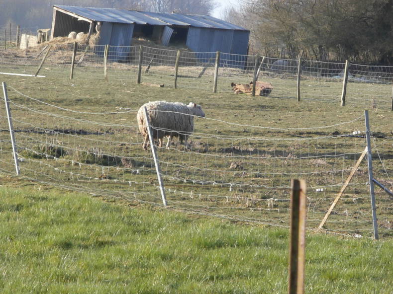 Zakwaterowanie U Rodziny Lagery 148718-3