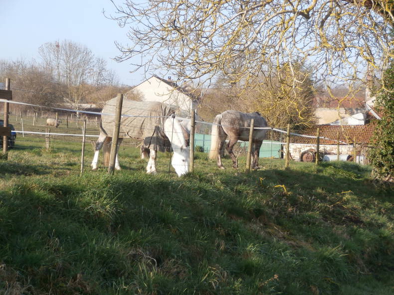 Zakwaterowanie U Rodziny Lagery 148718-4