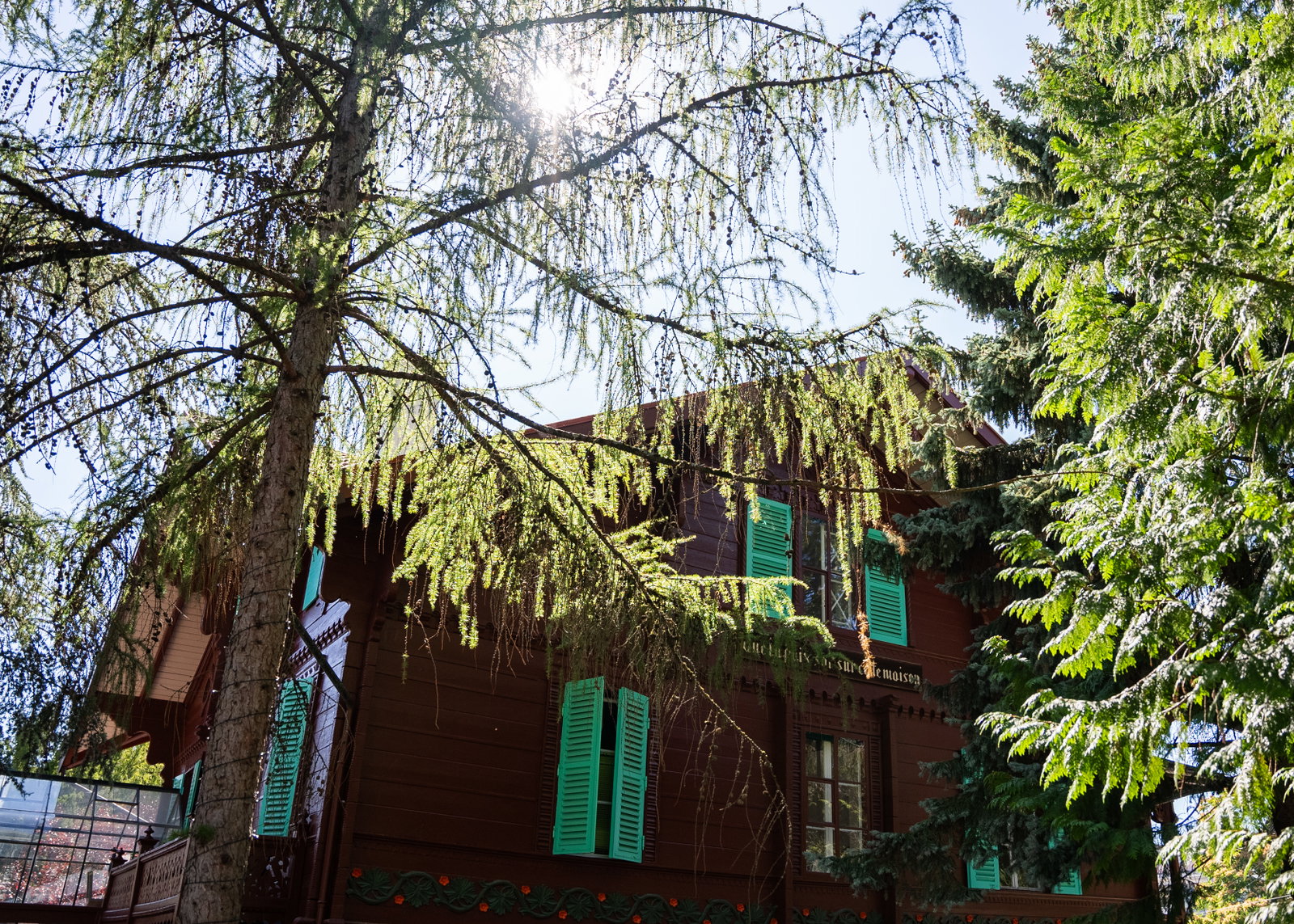 Homestay Lausanne 676465