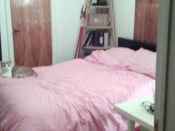 Roomlala | Medium-langtermyn gedeelde verblyf