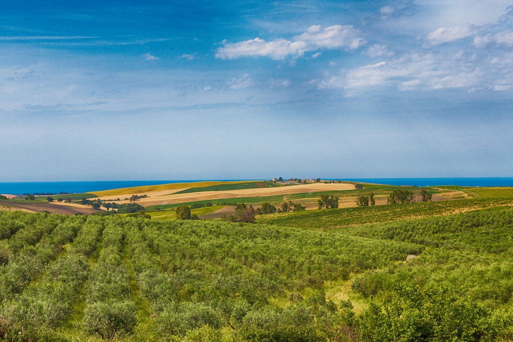 Unabhängiges Studio Molise 198796