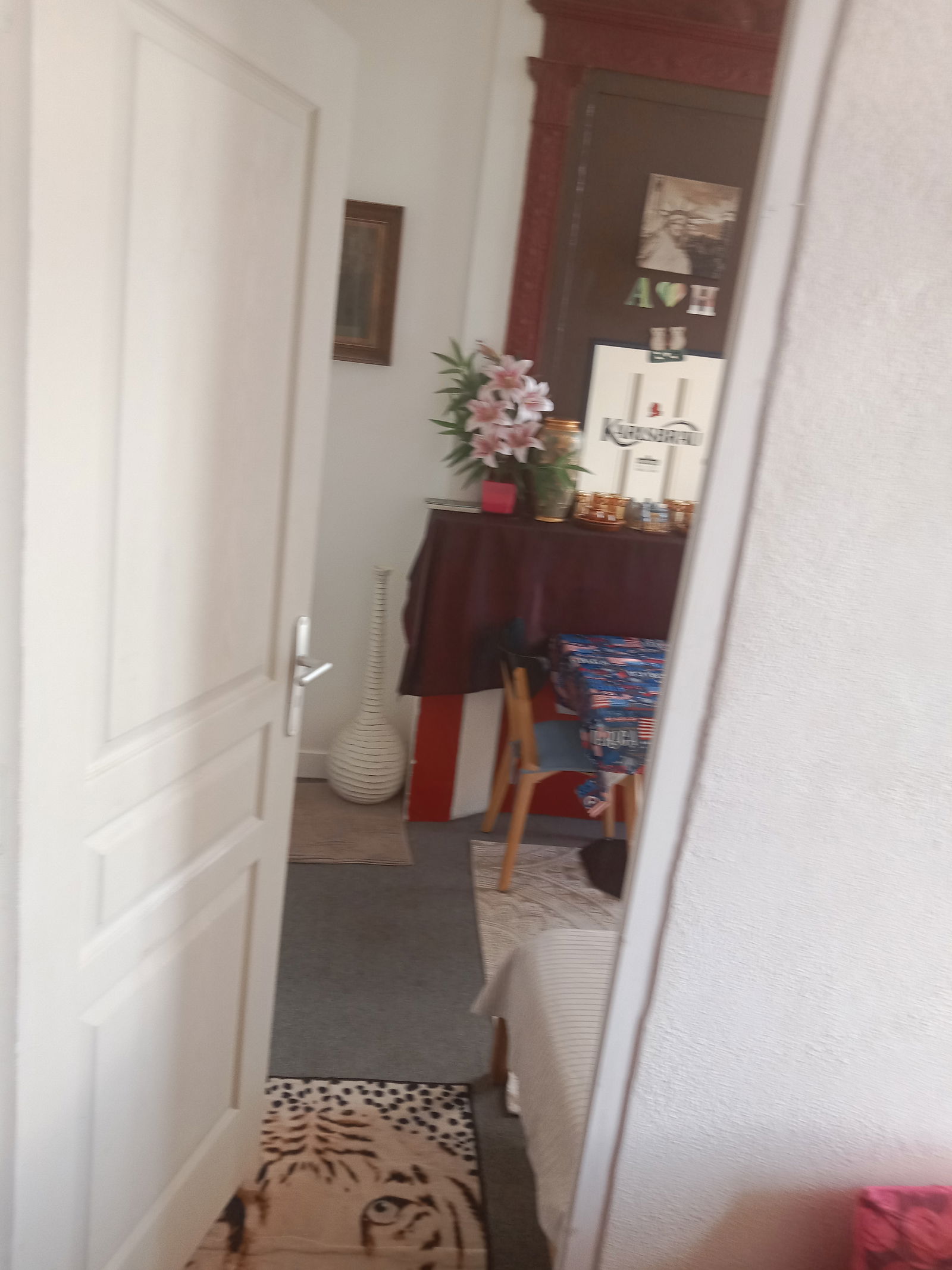 Colocation Bordeaux 428051