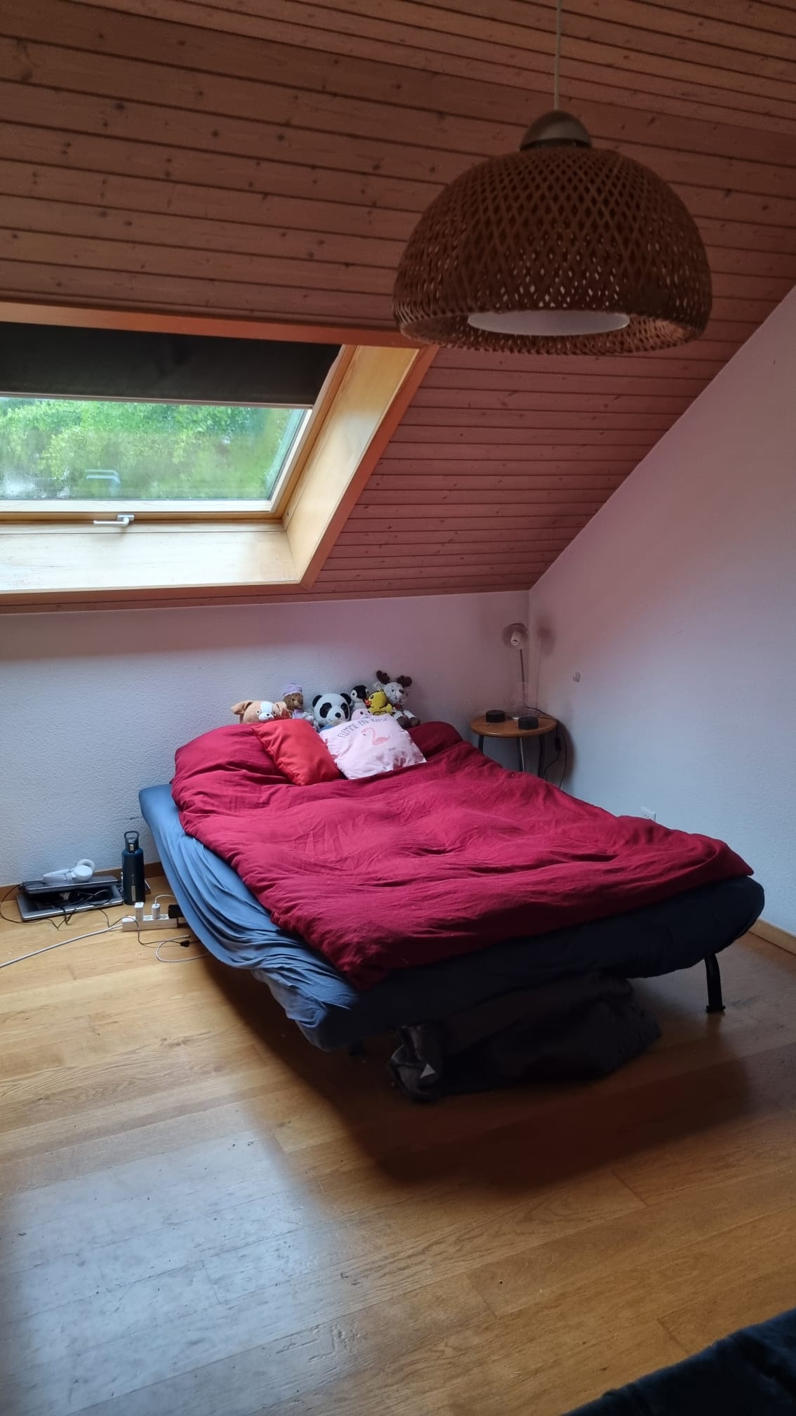 Kolokation Pully 388481