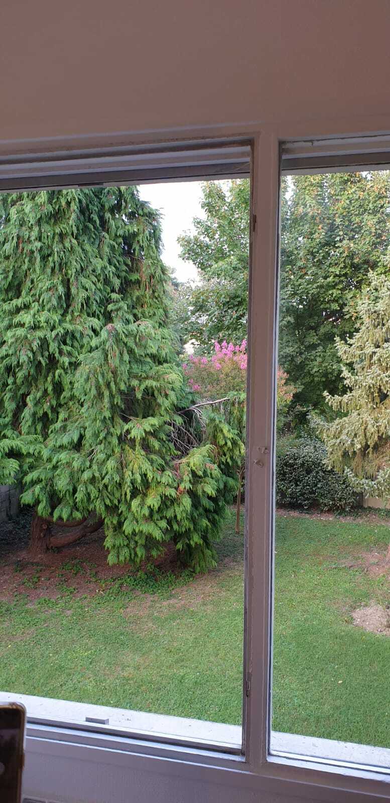 Colocation Thiais 251994