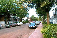 Kolokasie Montréal 652937