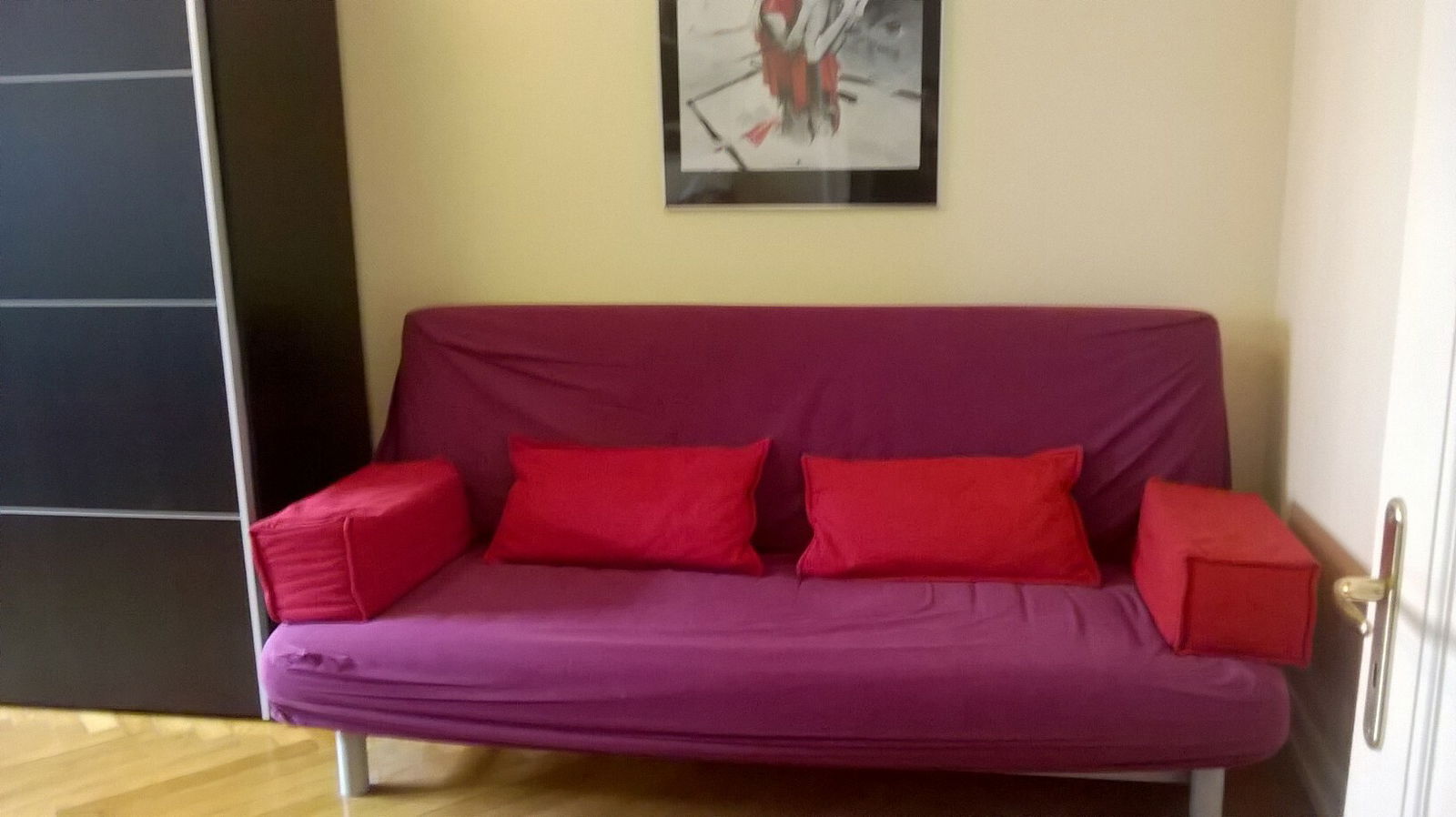 Kolokasie Strasbourg 127749