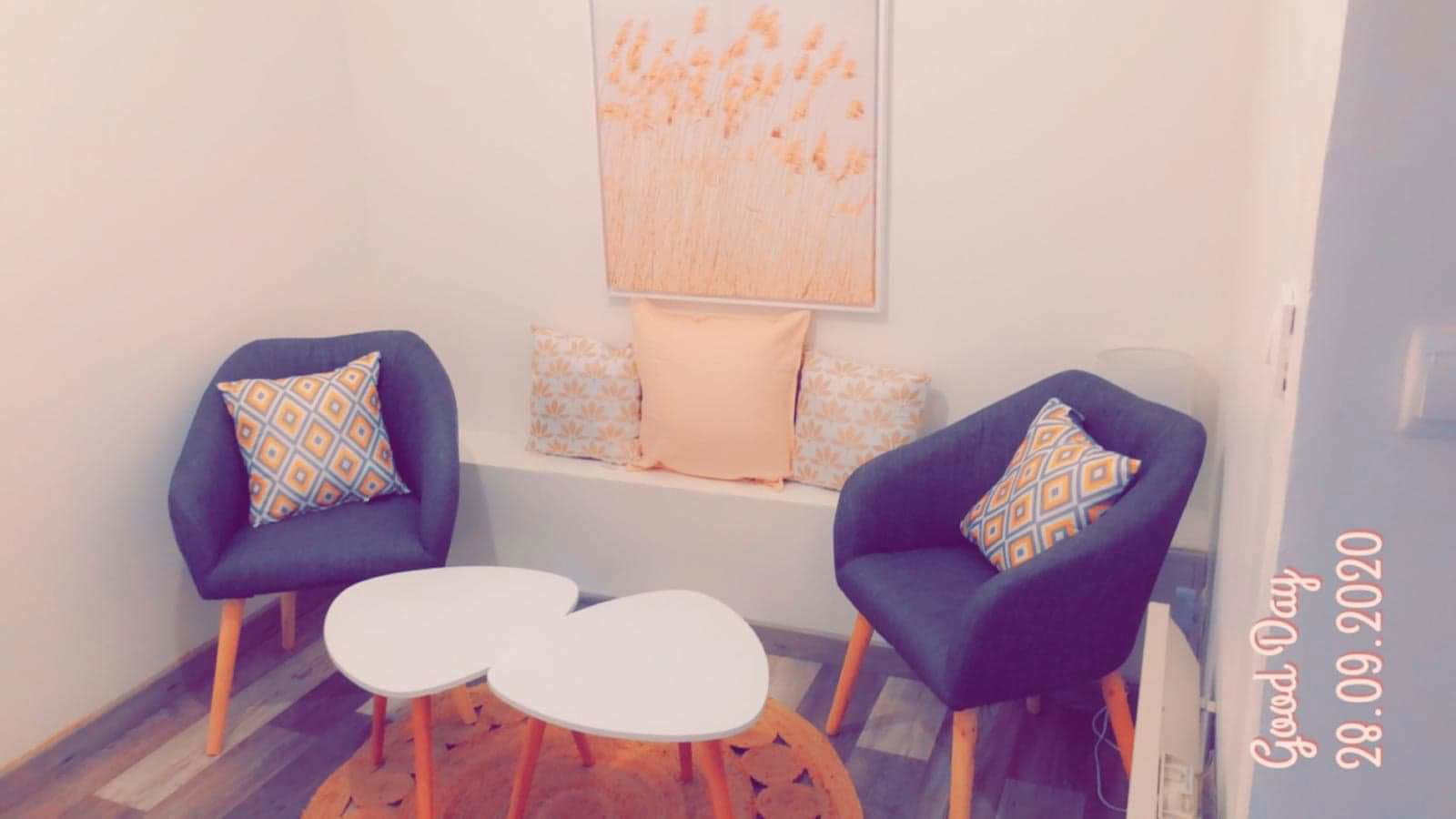 Kolokasie Bezons 248429