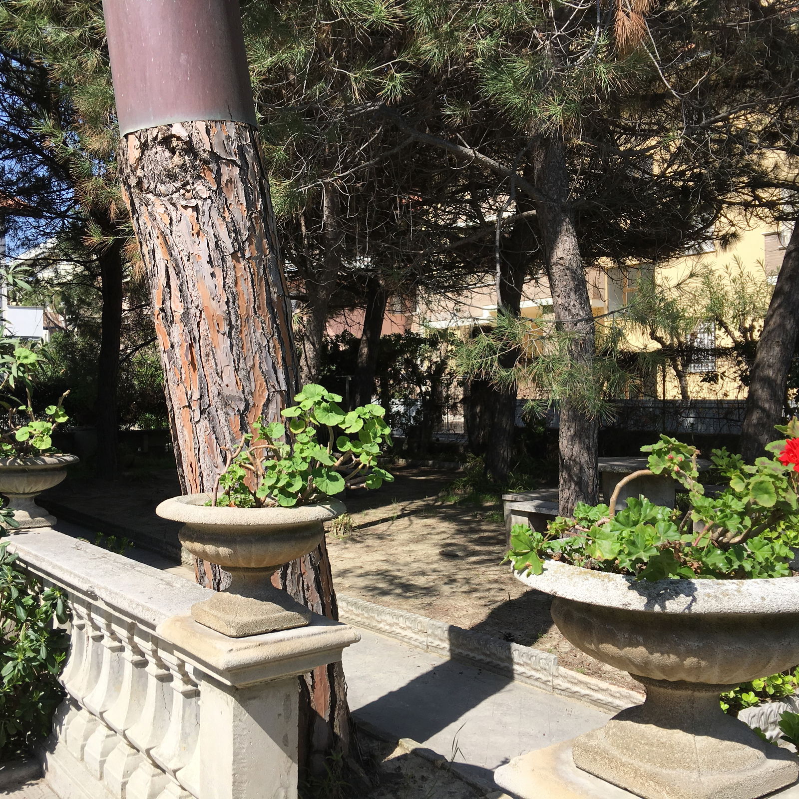 Studio Indépendant Tortoreto Lido 202010