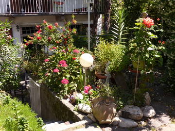 Chambre D'hôte Albo 440383-9