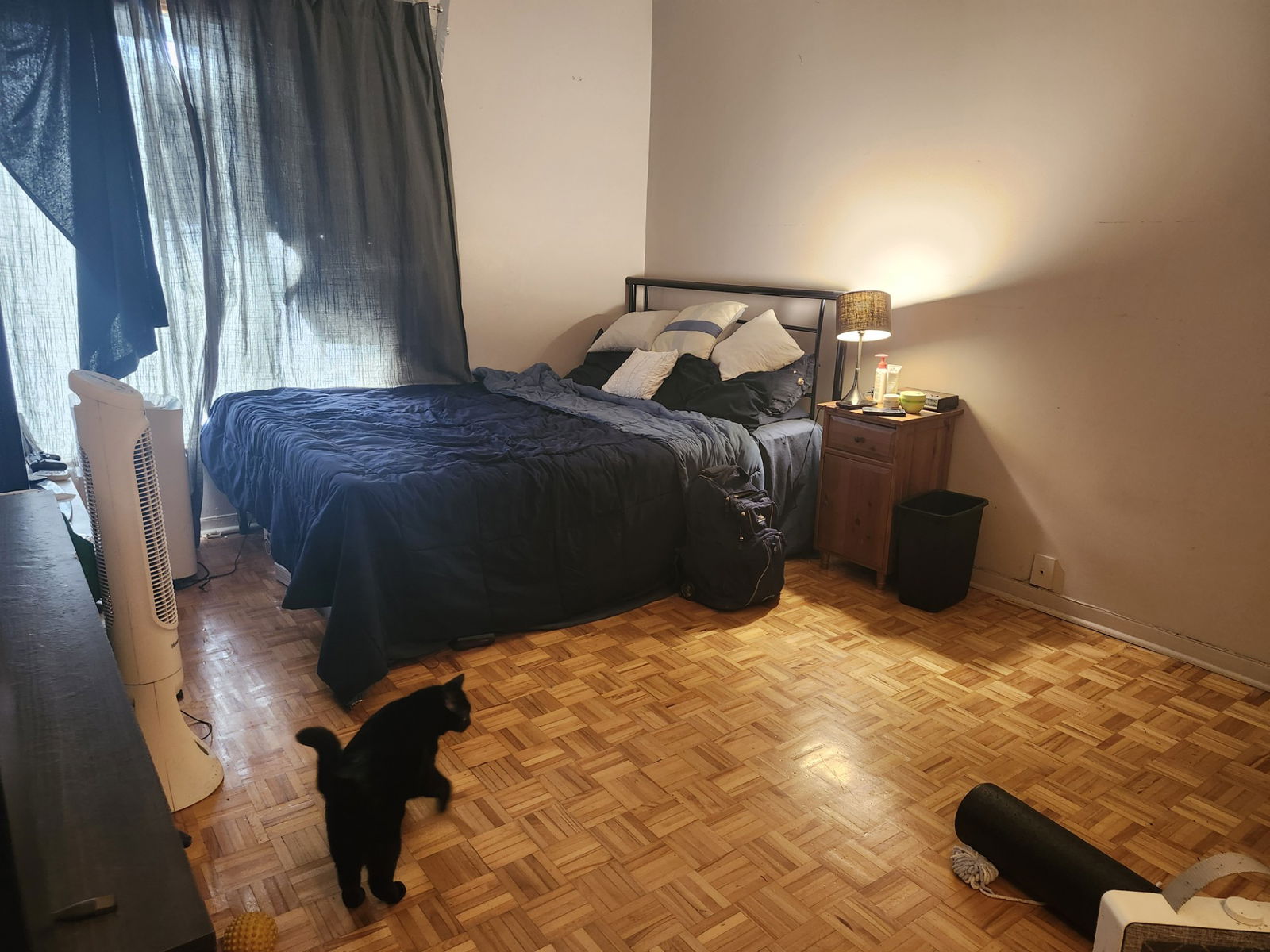 Colocación Montréal 493773
