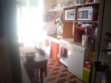 Roomlala | Meu bosque