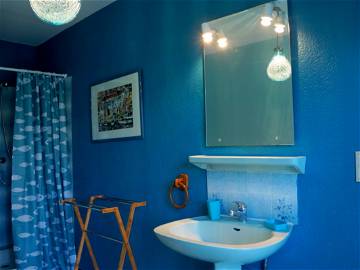 Logement Entier Sorède 137869-8