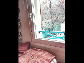 Chambre Chez L'habitant Lyon 266877