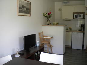 Furnished 1-bedroom apartment