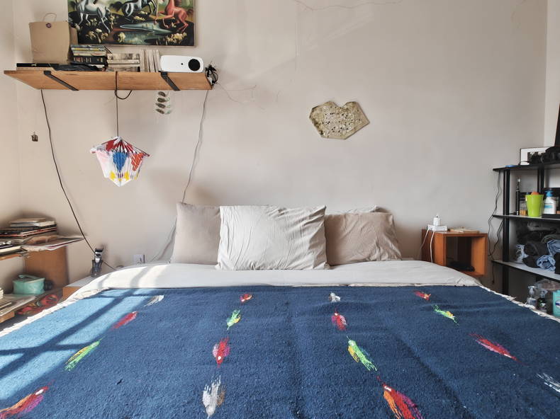 Shared Housing México D.F. 660754-2
