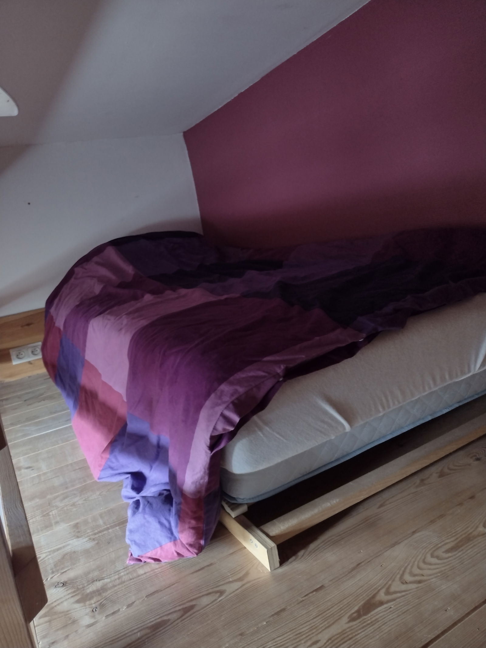 Homestay Evere 291784