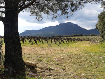 Chambre Chez L'habitant Arboras 252245-9