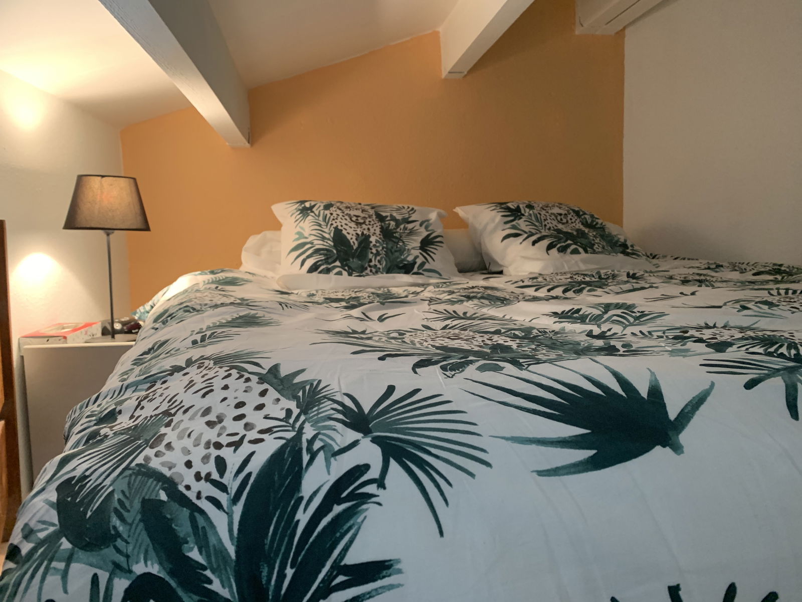 Unabhängiges Studio Le Barcarès 262263