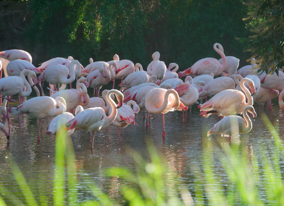 Quedarse En Casa Lyon 363267