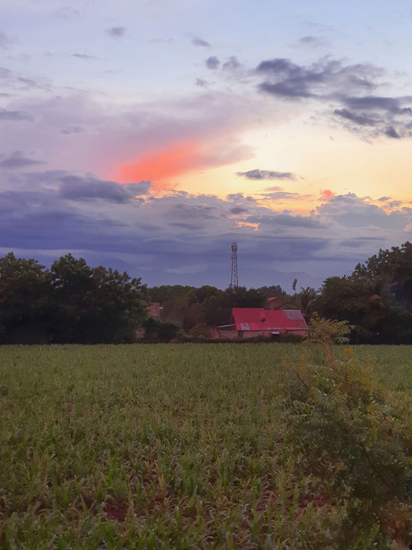 Gastgezin General Santos City 383933