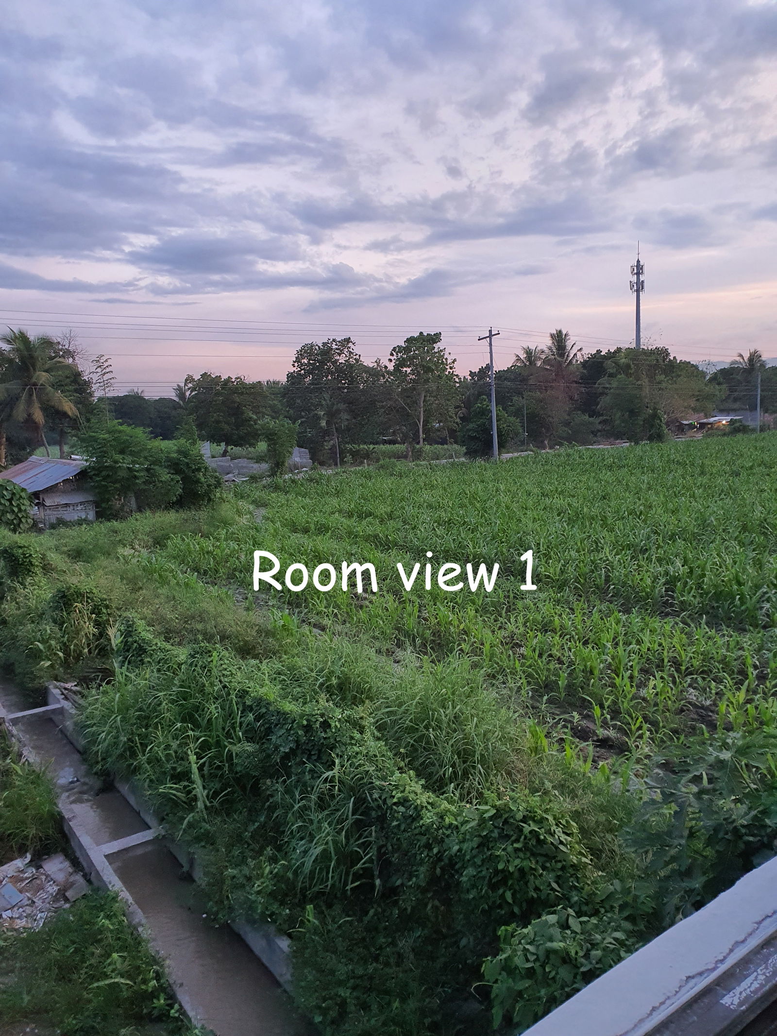 Hjemmeophold General Santos City 383933