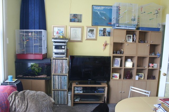Gastfamilie Southend-on-Sea 12274