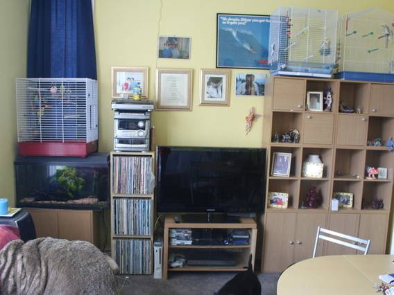 Homestay Southend-on-Sea 12274