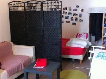 Roomlala | Mieszkanie do wynajęcia w Lyonie 2
