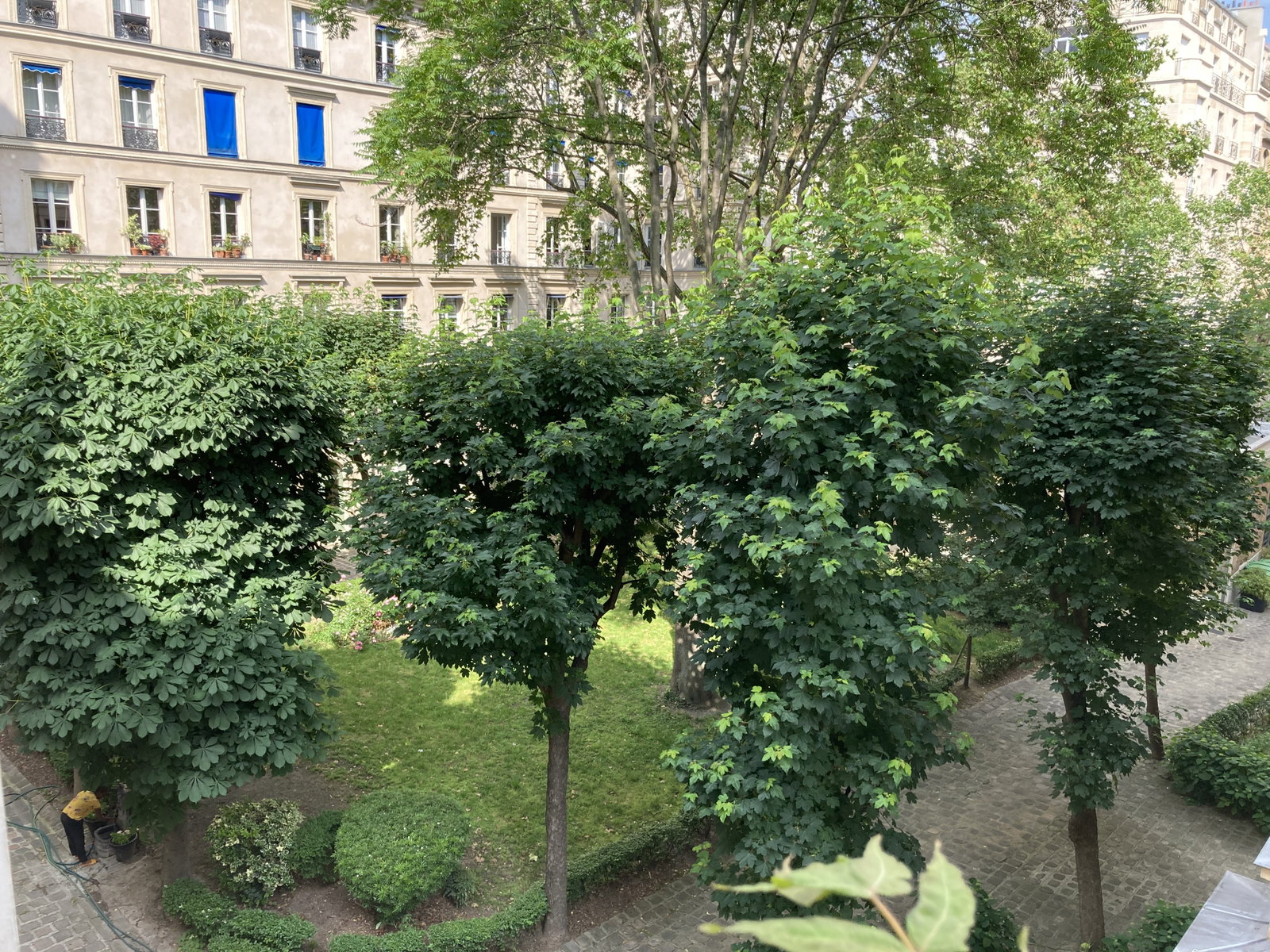 Homestay Paris 667020