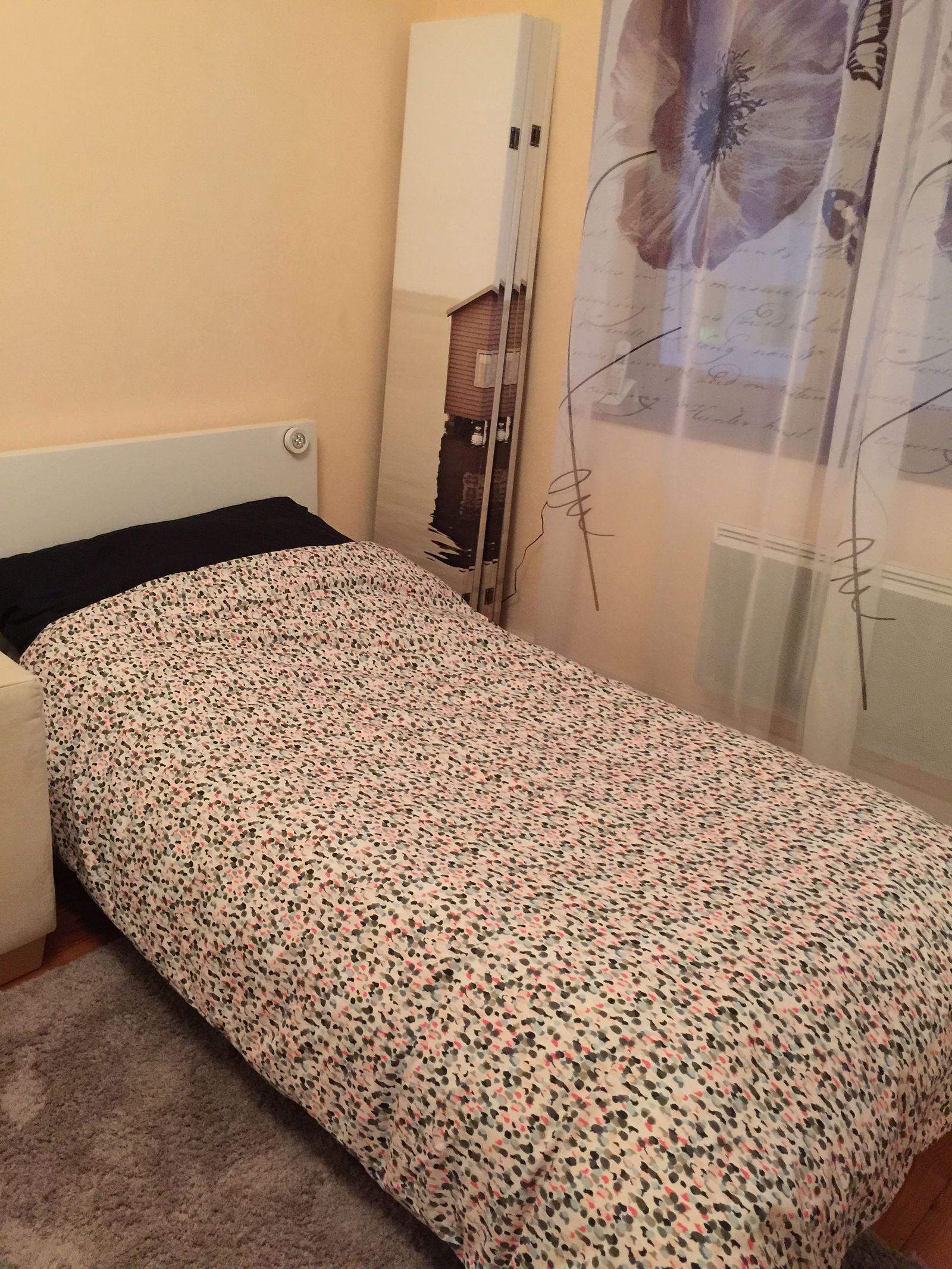 Kolokacja Saint-Julien-en-Genevois 171010