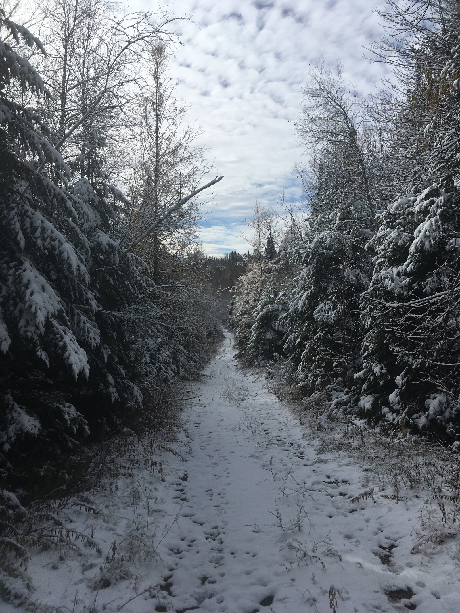 Cały Dom Val-David 624582