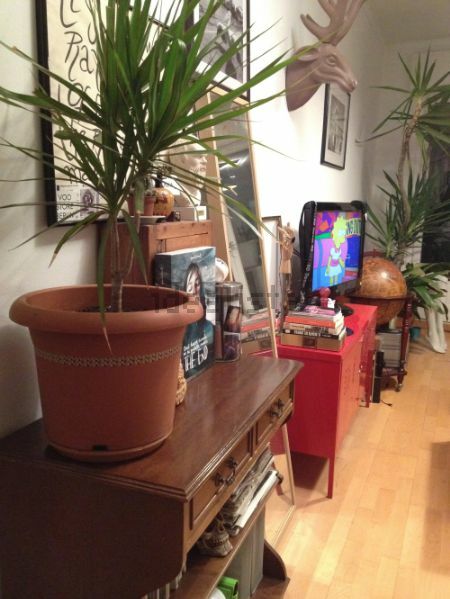 Kolokacja Barcelona 121113