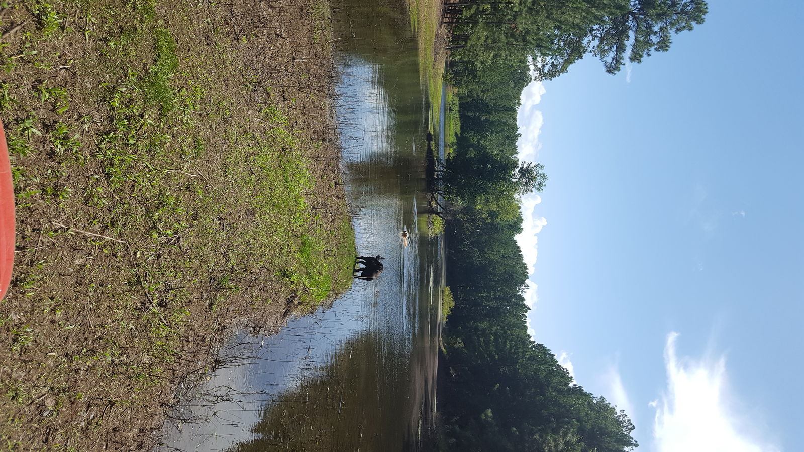 Gastfamilie Fort Valley 149072