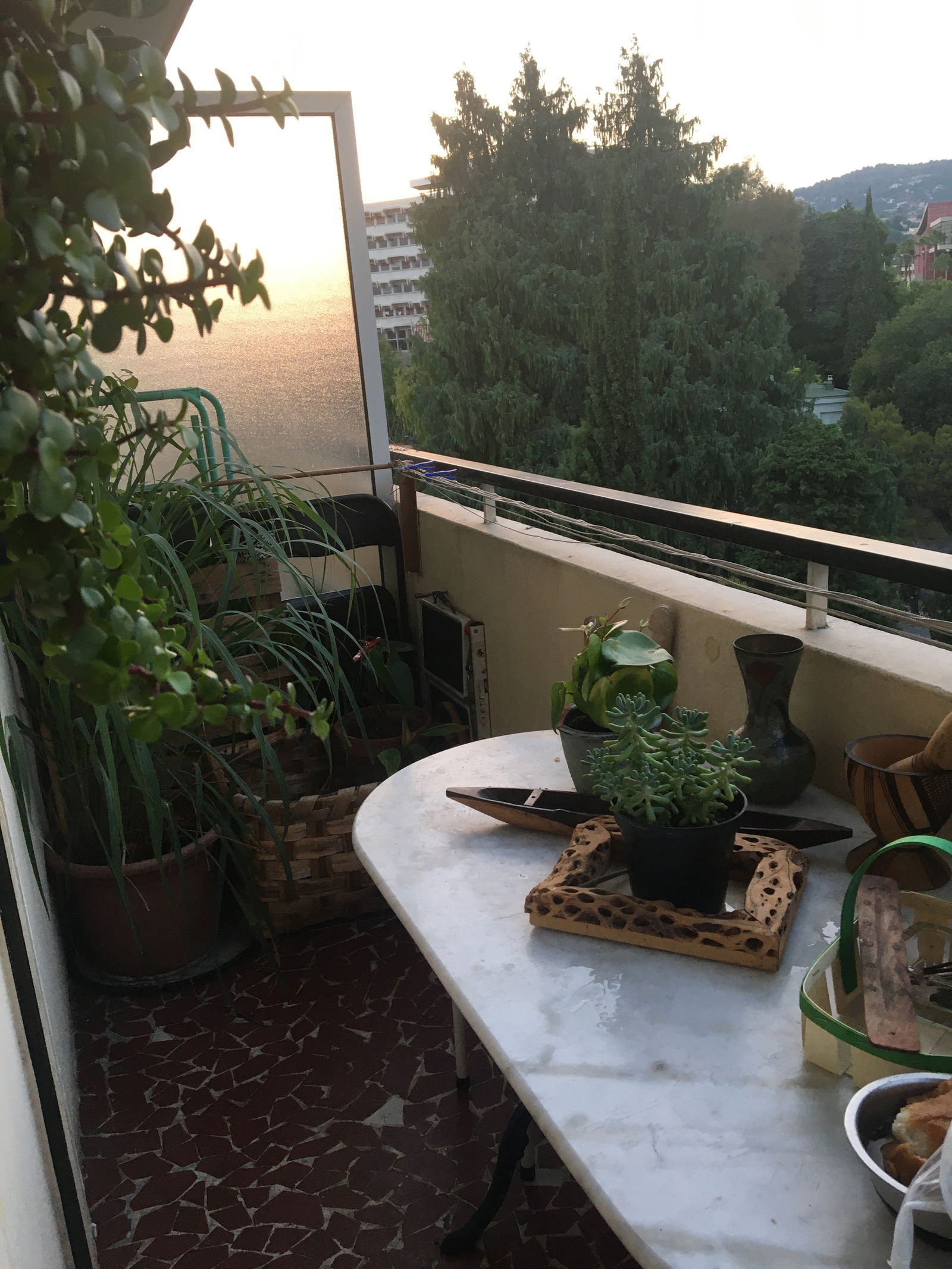 Gastfamilie Nice 239734