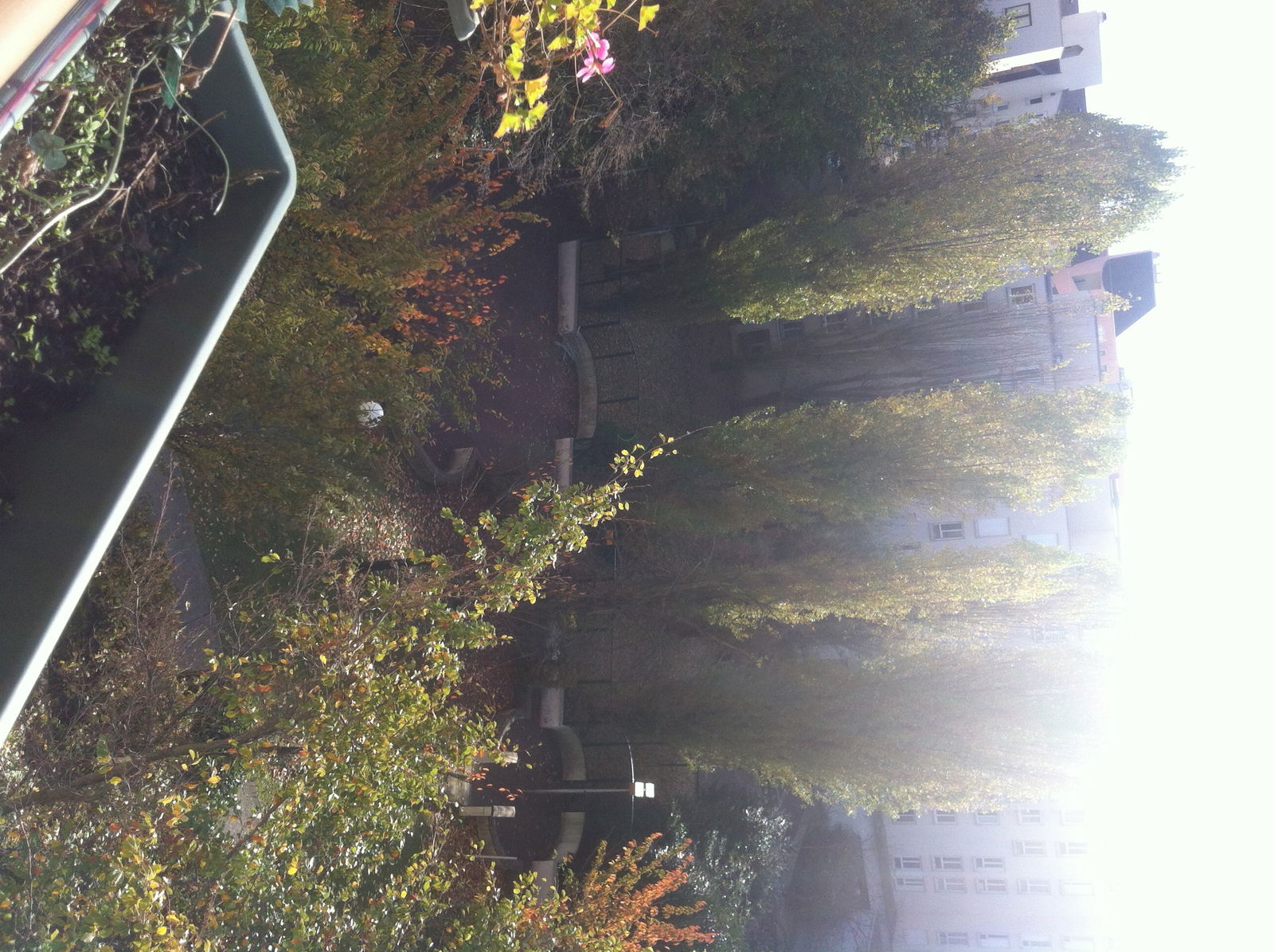 Gastfamilie Créteil 117911