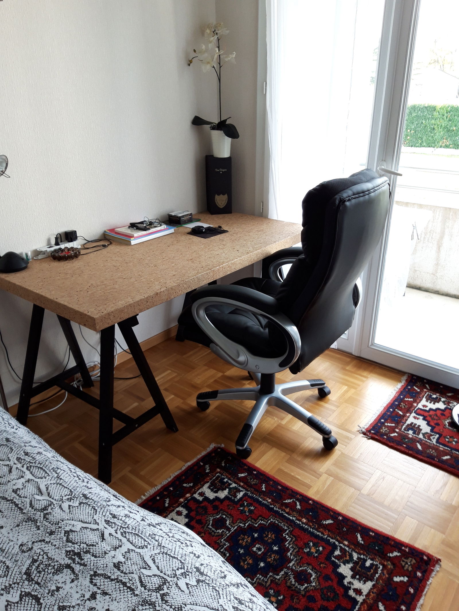 Gastfamilie Plan-les-Ouates 262783