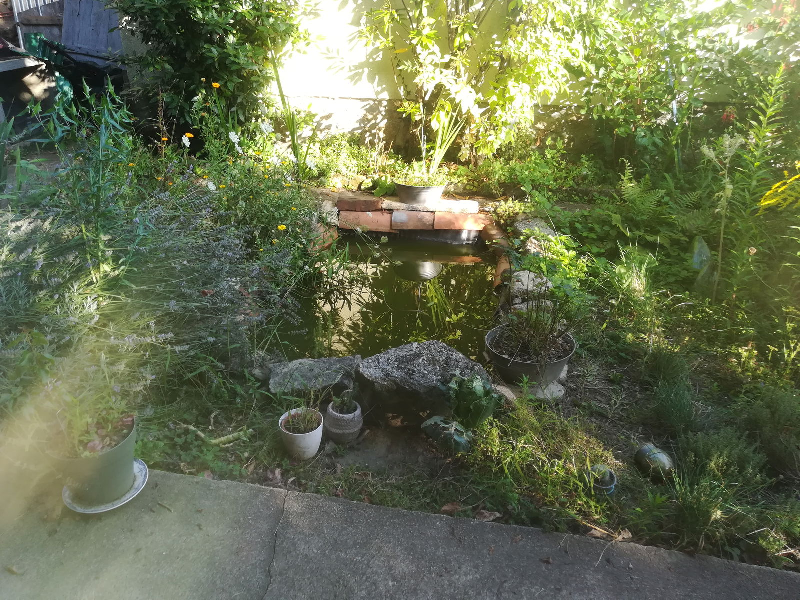 Gastfamilie Saint-Auvent 360010