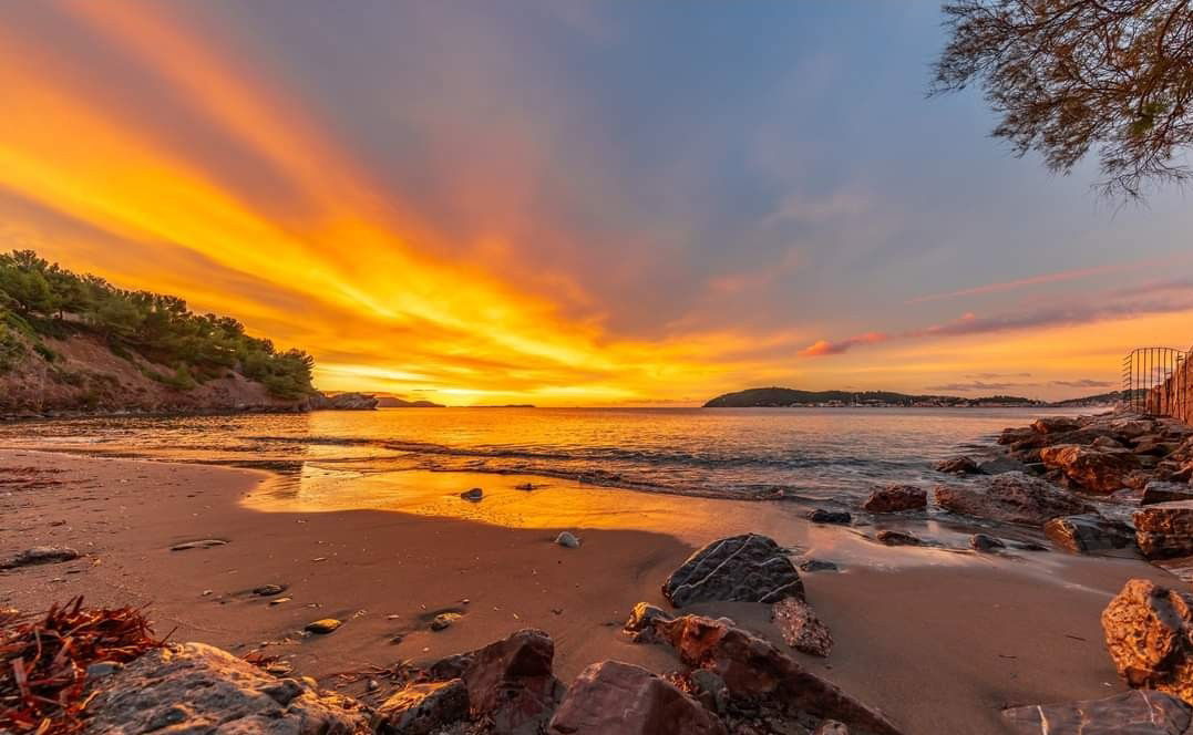 Gastfamilie Toulon 578444