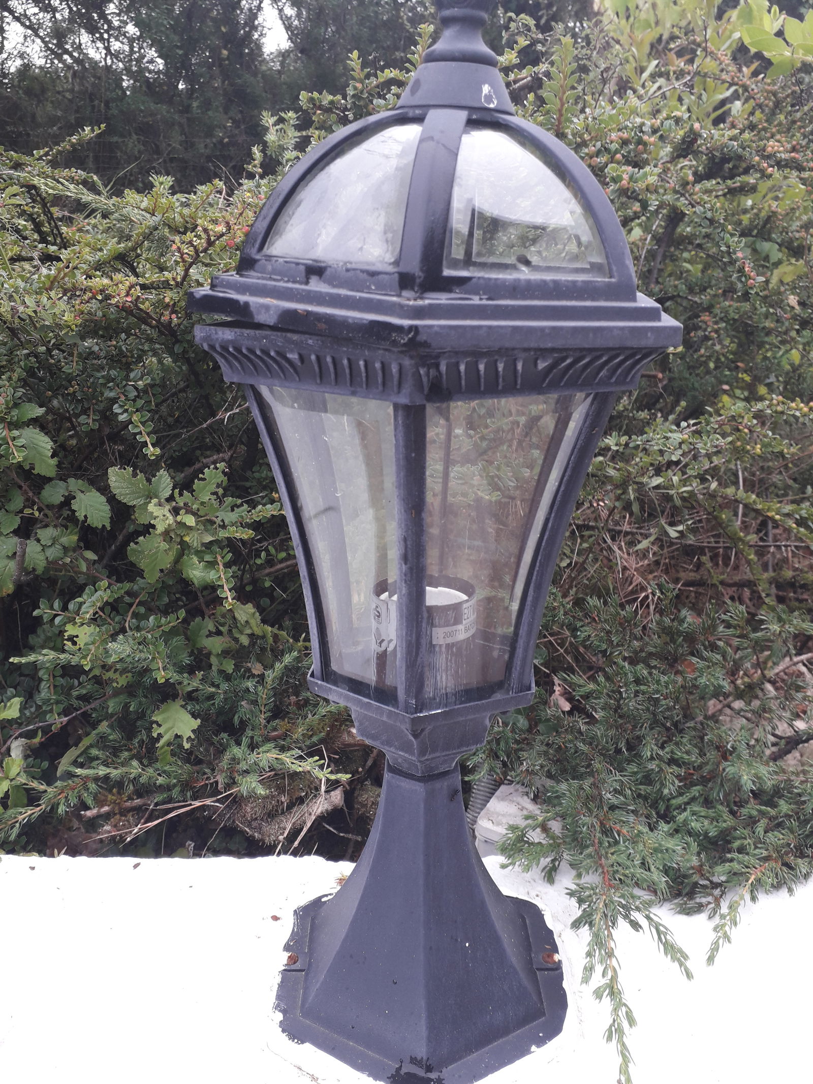 Gastfamilie Menville 253232