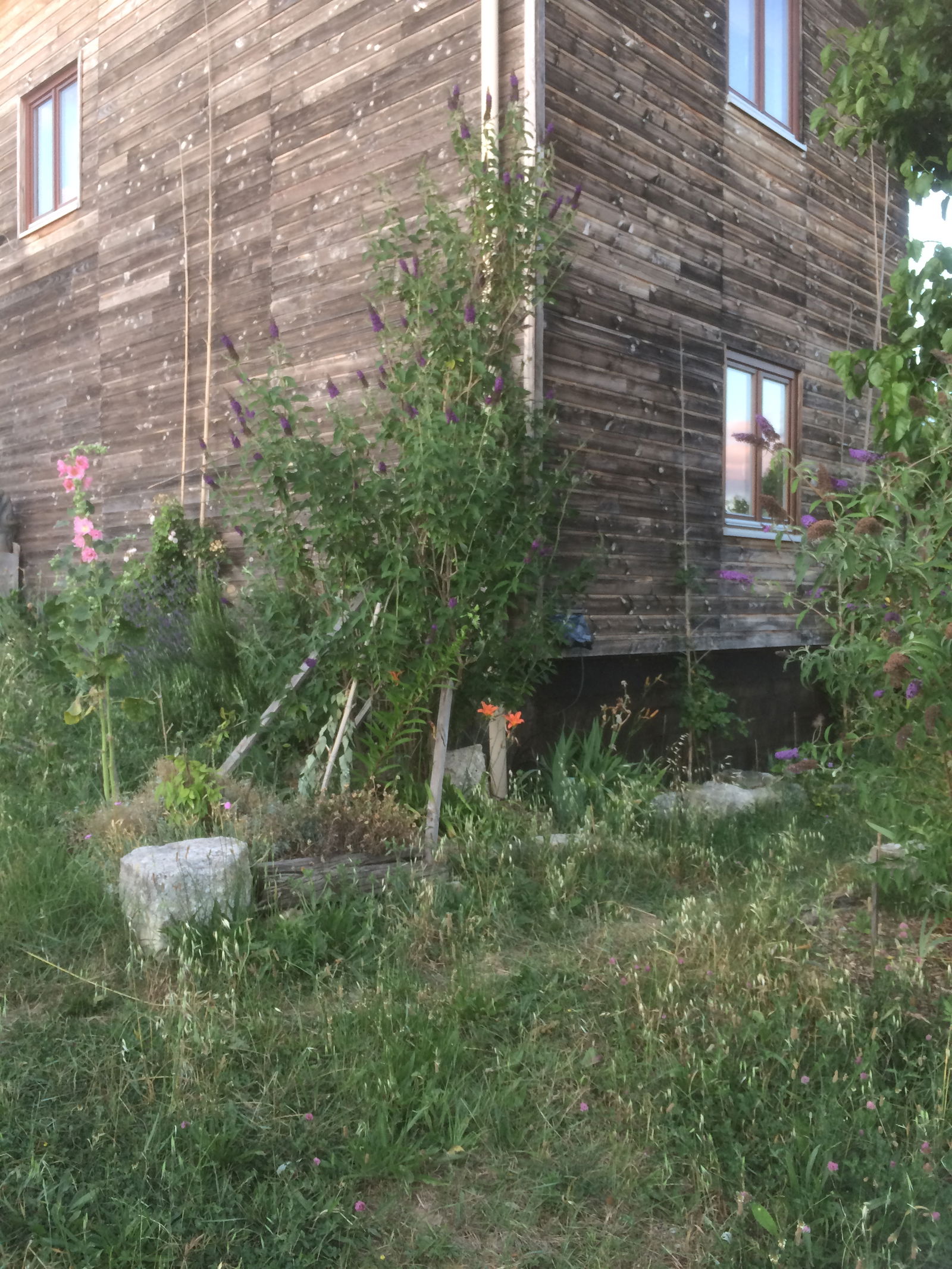 Gastfamilie Saint-Just-et-Vacquières 331450