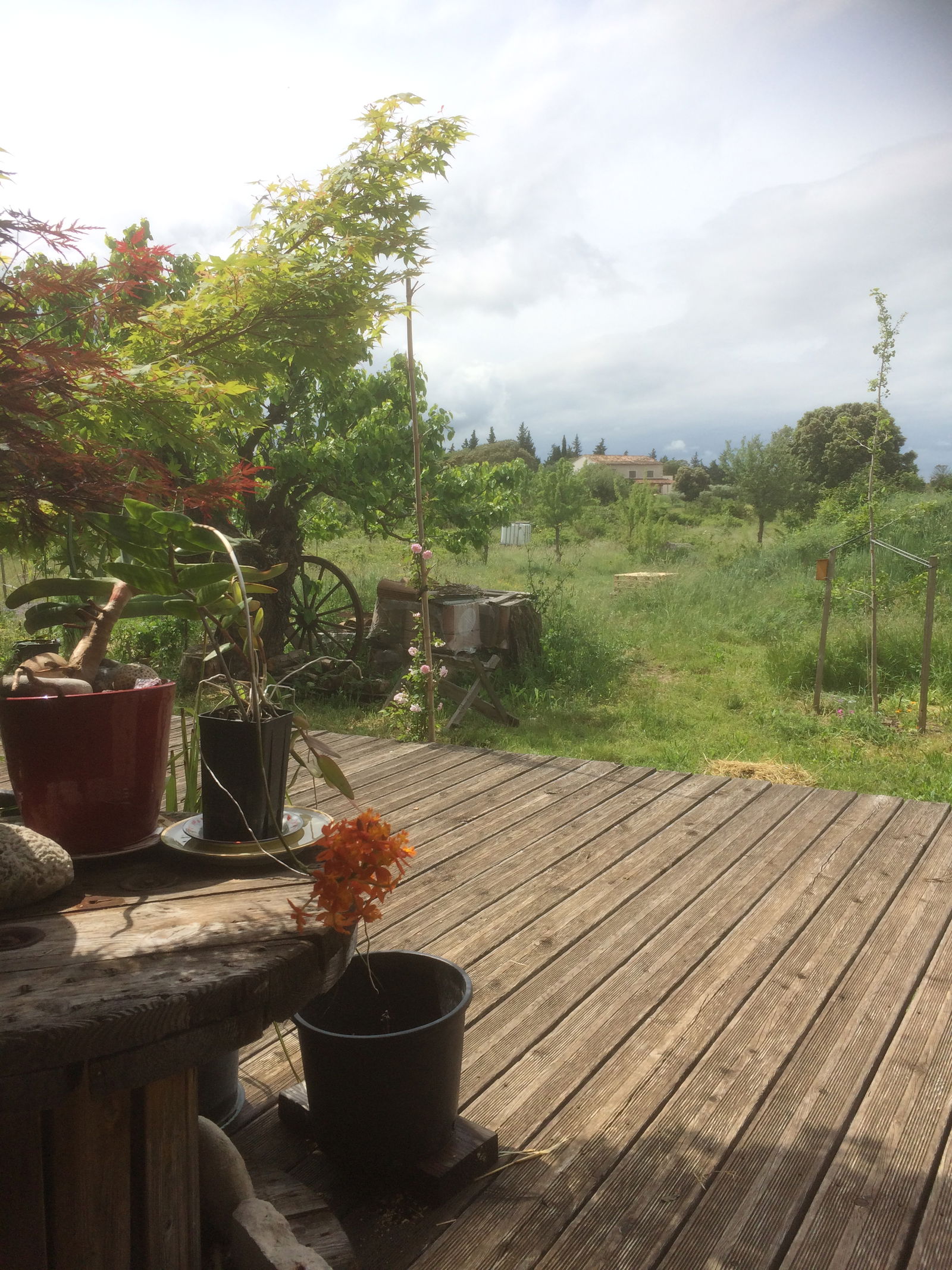 Gastfamilie Saint-Just-et-Vacquières 331450