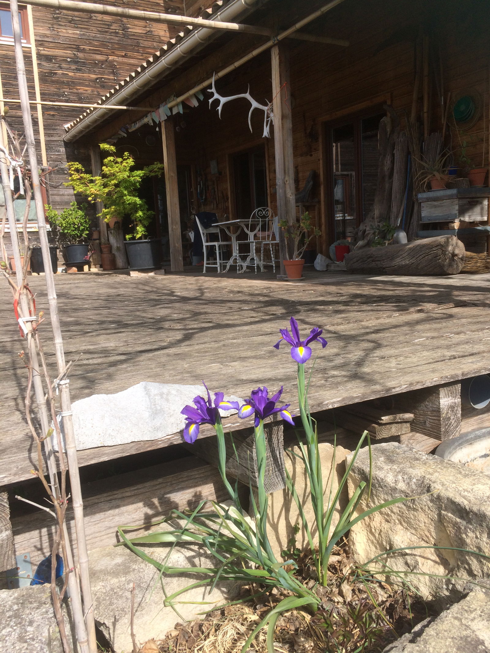 Gastfamilie Saint-Just-et-Vacquières 331450
