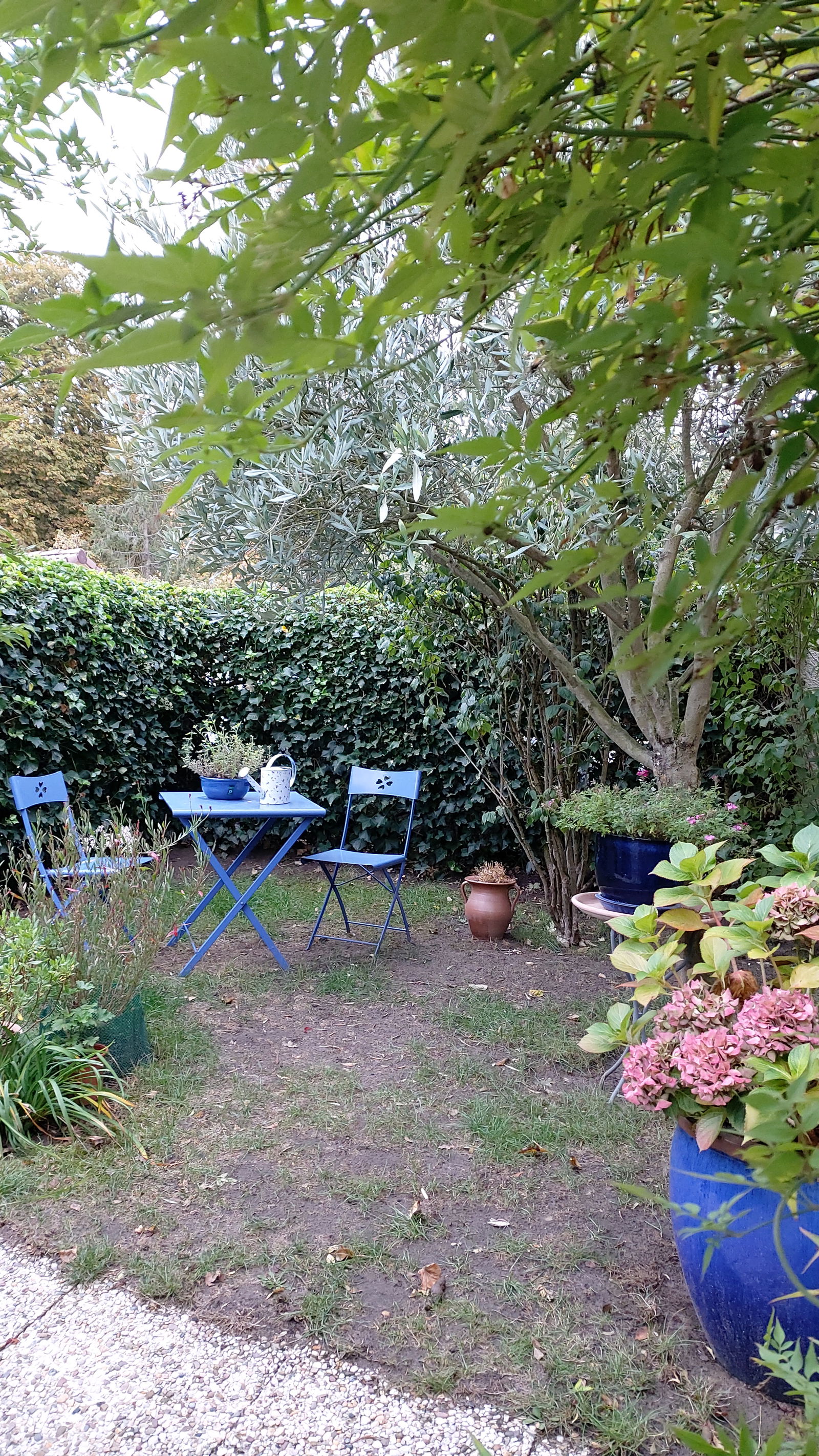 Gastfamilie Rambouillet 261987