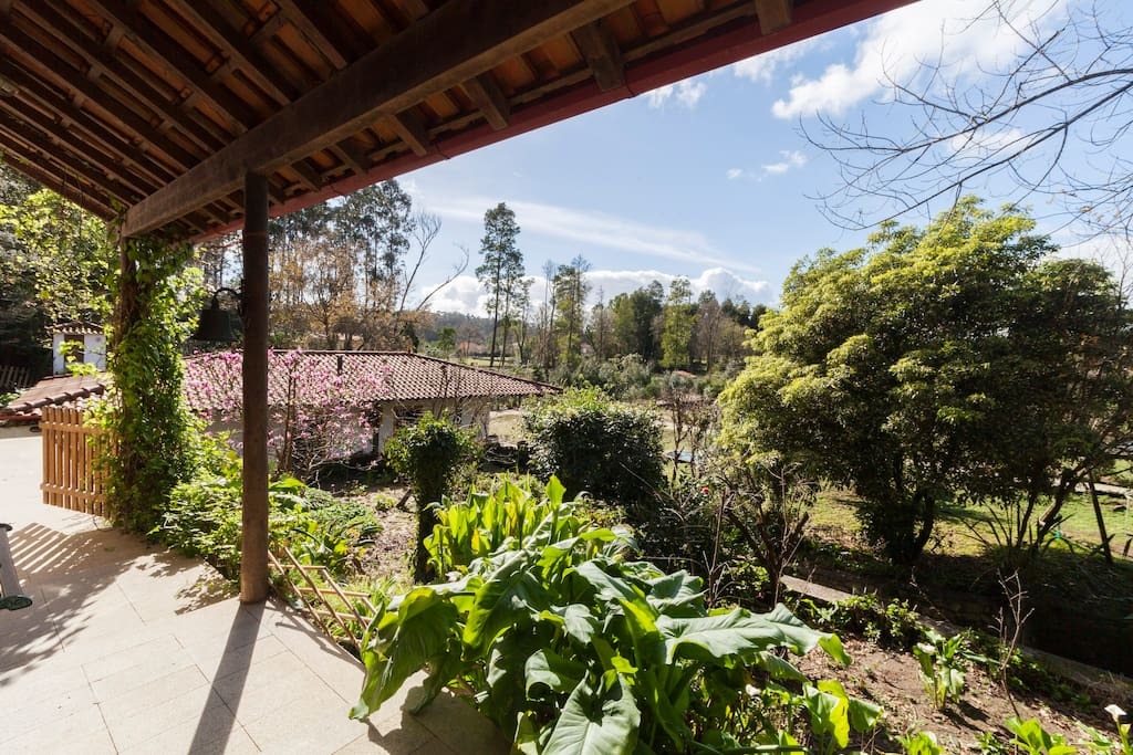 Toda La Casa Espinho 125564